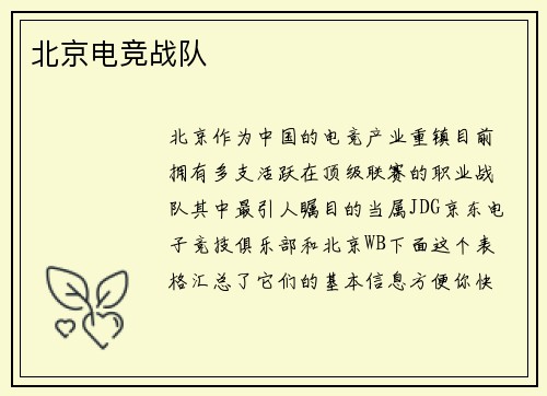 北京电竞战队