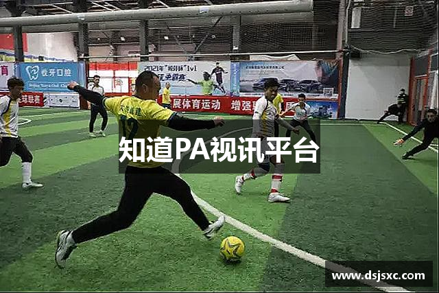 知道PA视讯平台